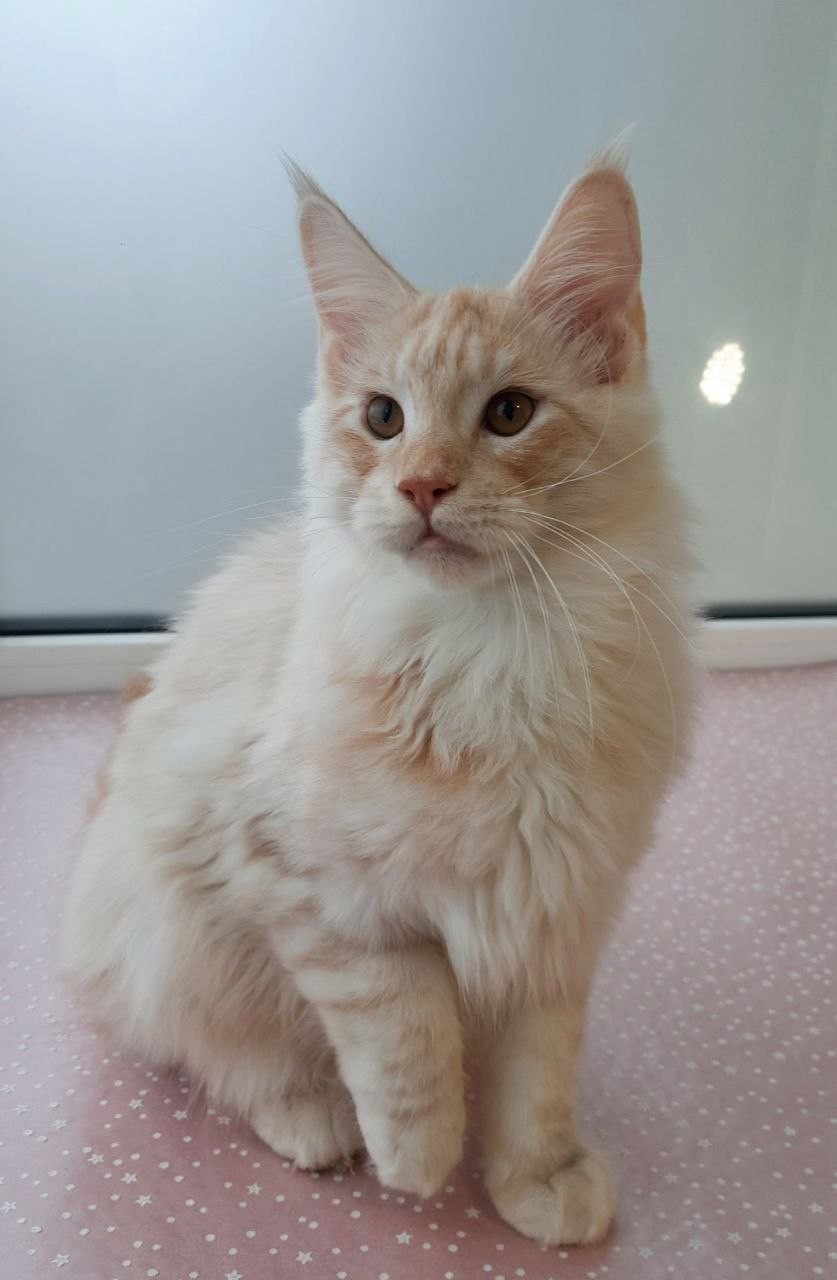 8646fce5-7d1f-4700-8a86-6b989525ce85