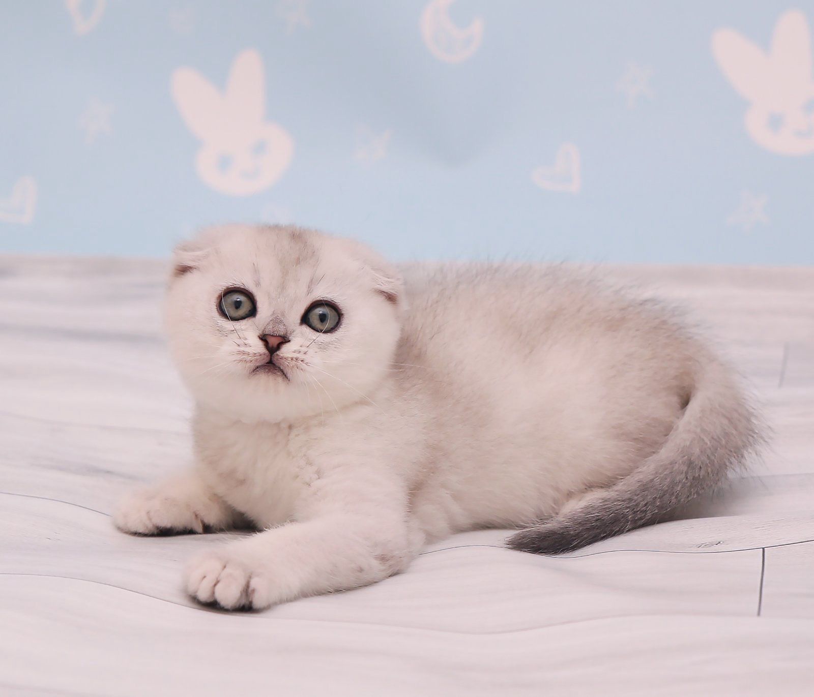 866498e2-81b2-4b72-8064-2c863da72a48