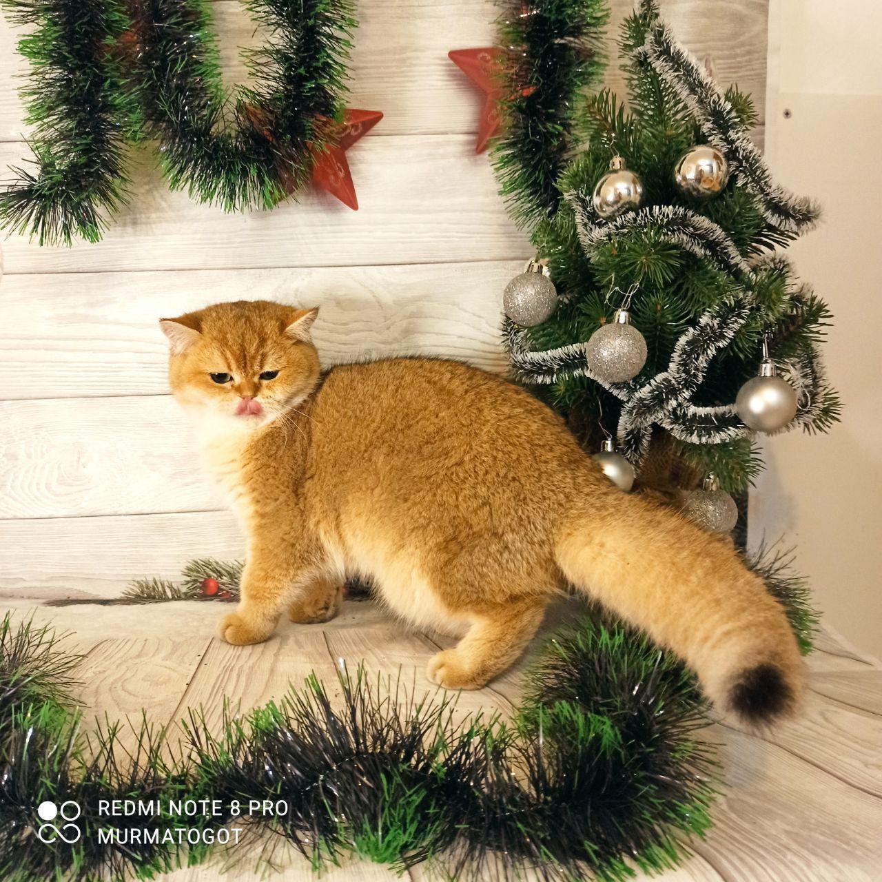 87629cc7-50ba-4bf8-86eb-1697c3e9cc35