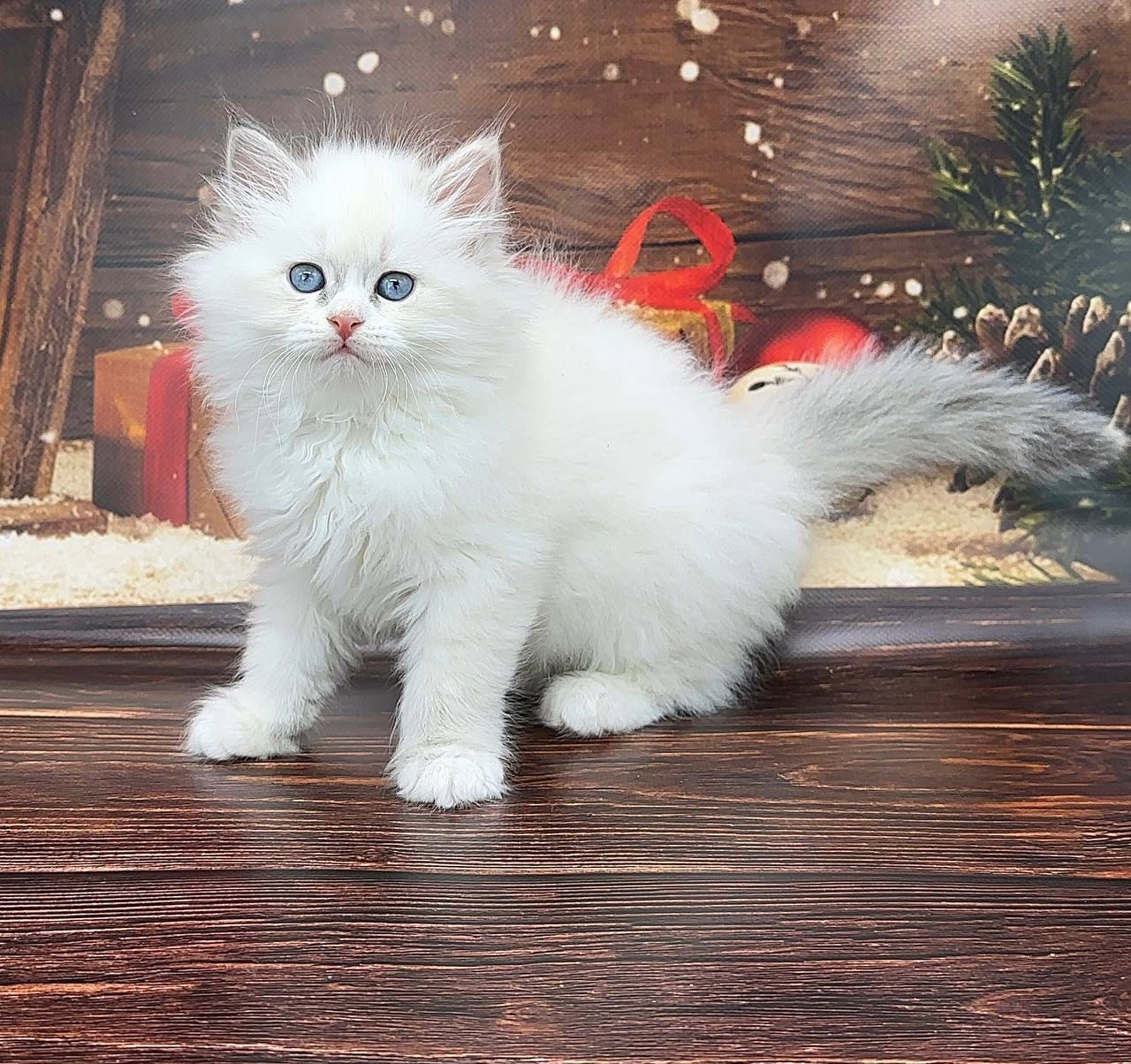 89f1b8a5-7c53-432c-b28a-0ffd9bea4062