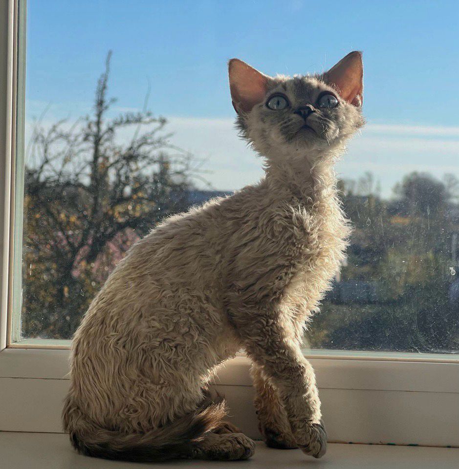 8bca3bfb-9bec-4c7d-944d-7153815737d1