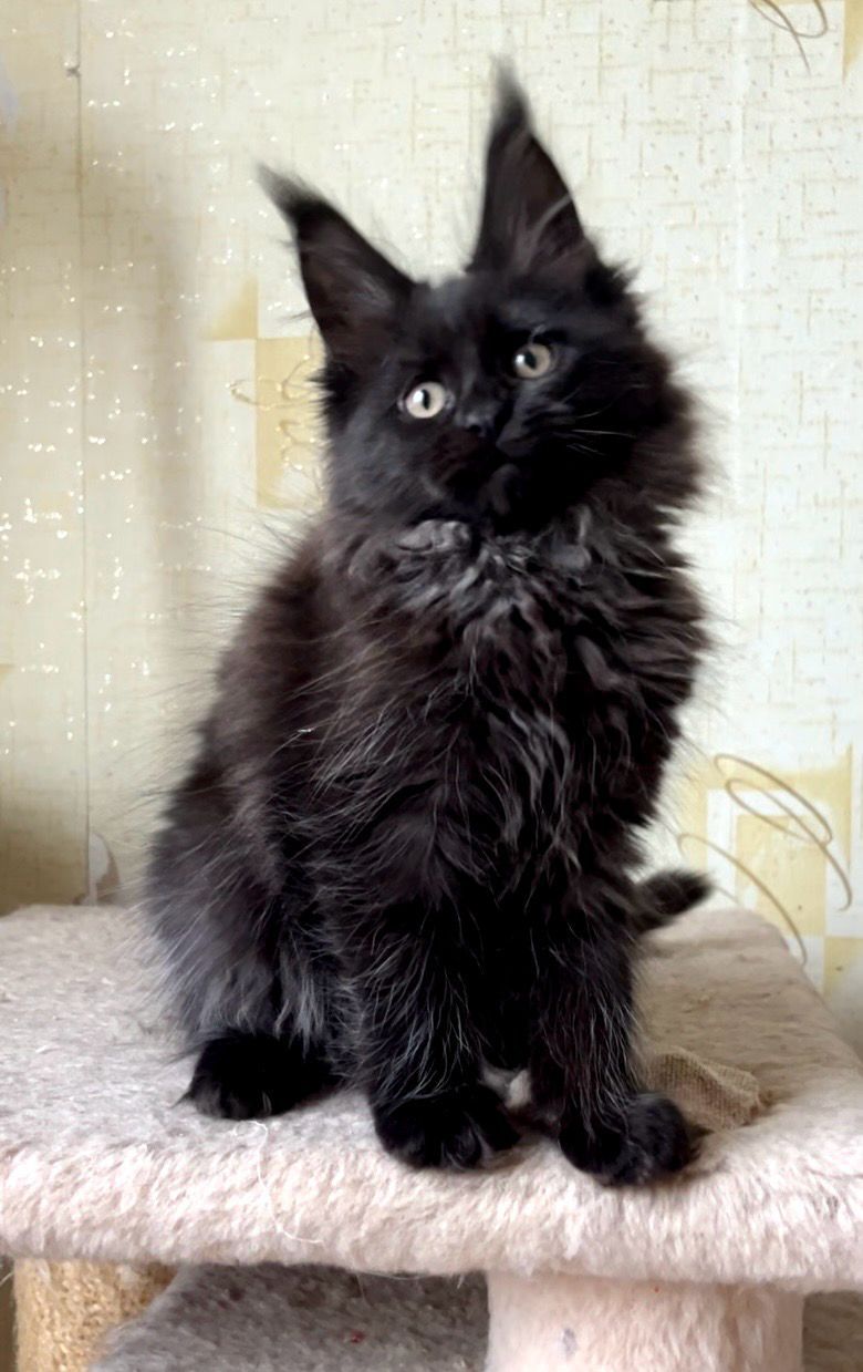 8fab741f-e07d-4fe6-a67d-72b1b1f2265b