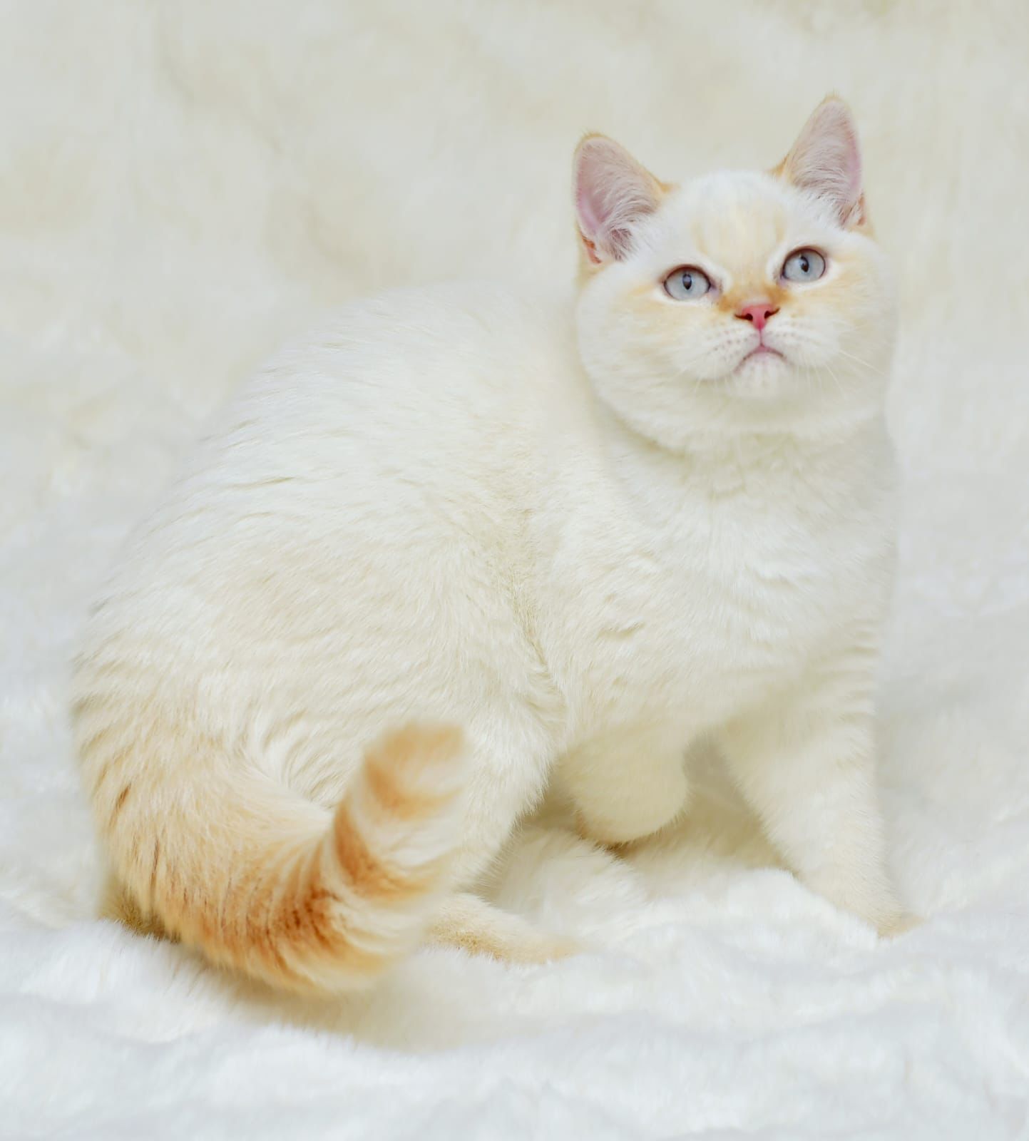 90ba8174-26e2-44f6-9c4c-120ea2d1266a