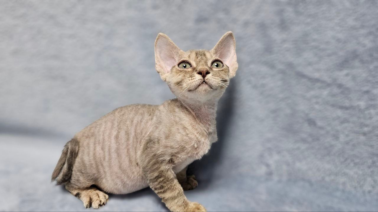 925b5671-a16c-4273-bc1d-4bef9ad2a754