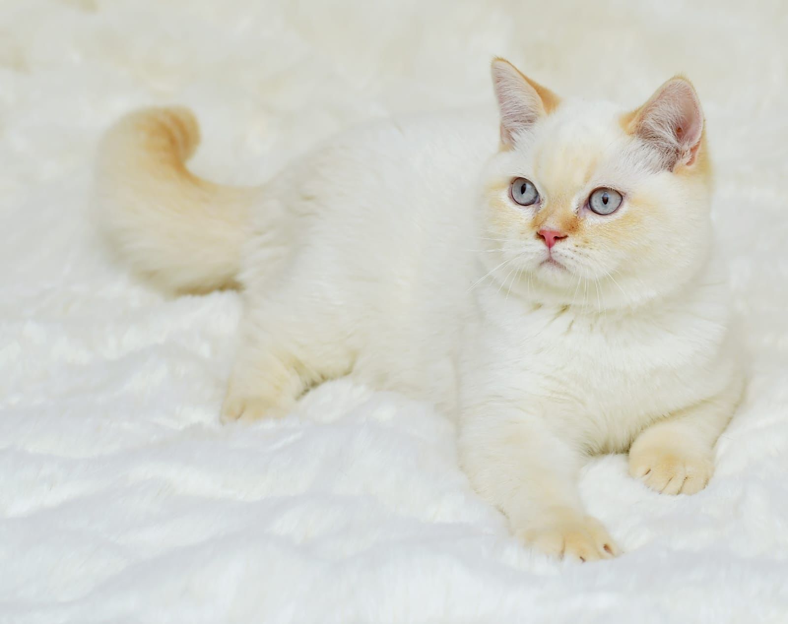 94069dfd-2452-4056-9bcc-62f2dbfa0c1d