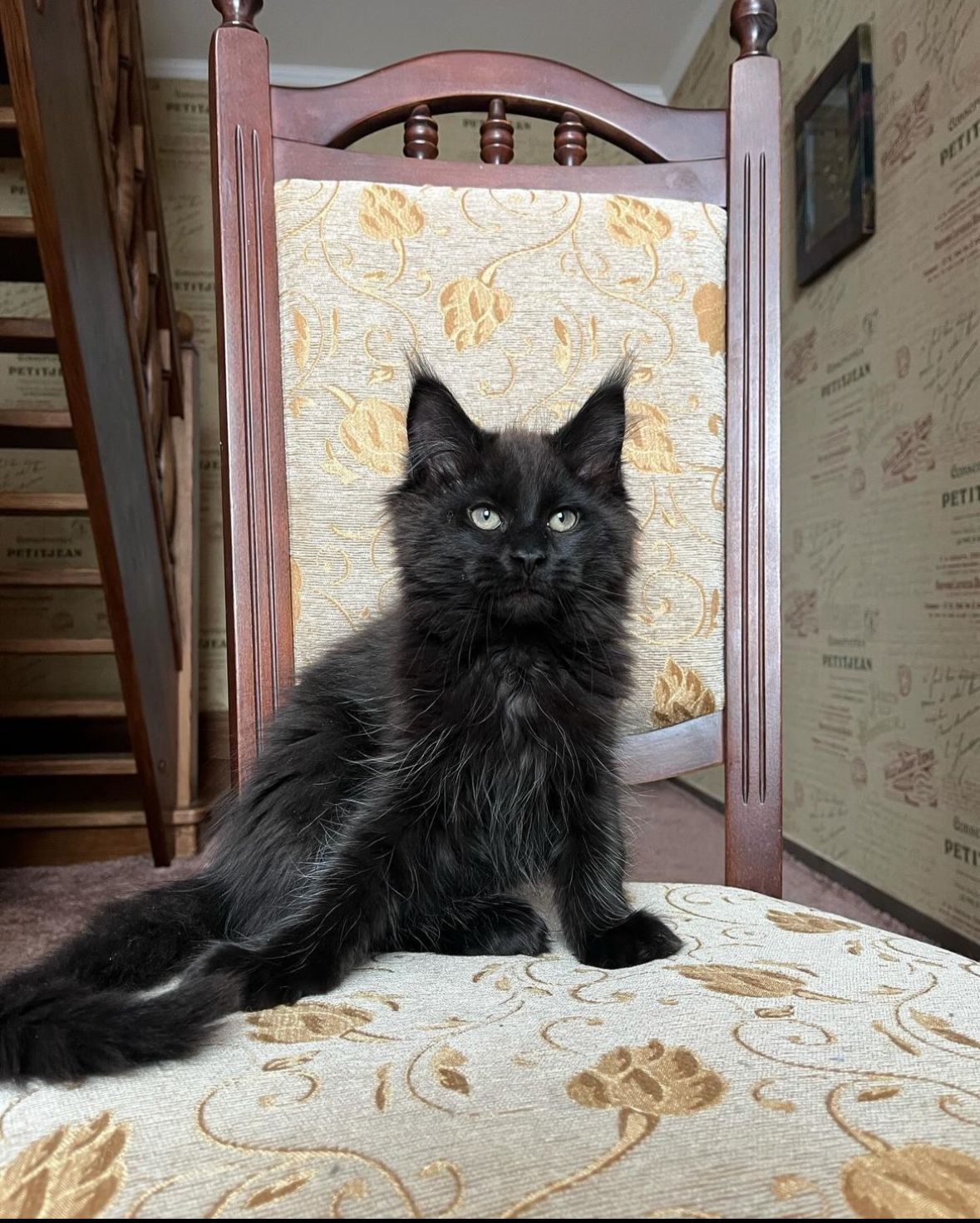 9a47c89b-1a1b-4d64-b804-94d3363fc448