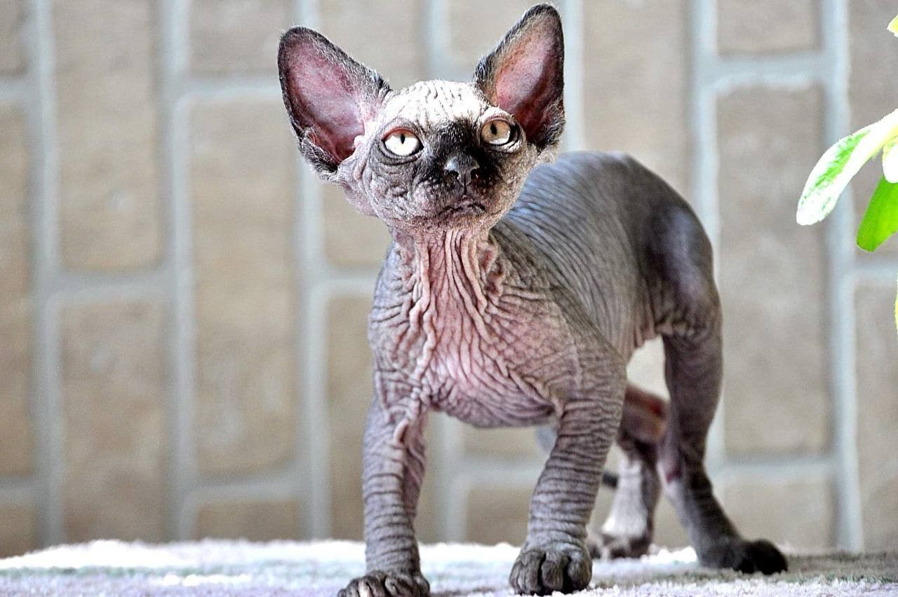 9ac2570f-36ec-4ed3-bfeb-505c01fe79f1