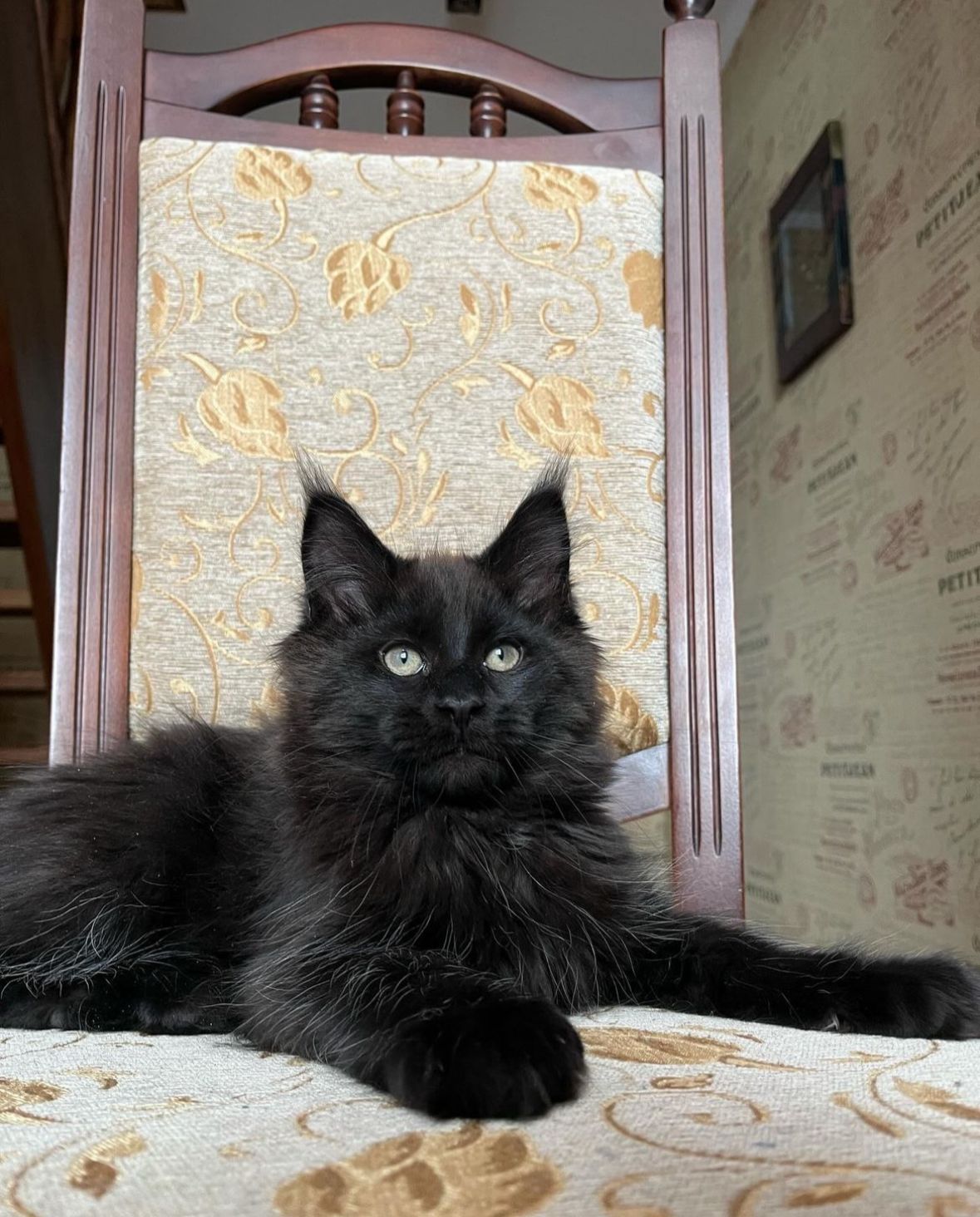 9bf3e8fd-9396-487e-ad9e-b8e1ec388202