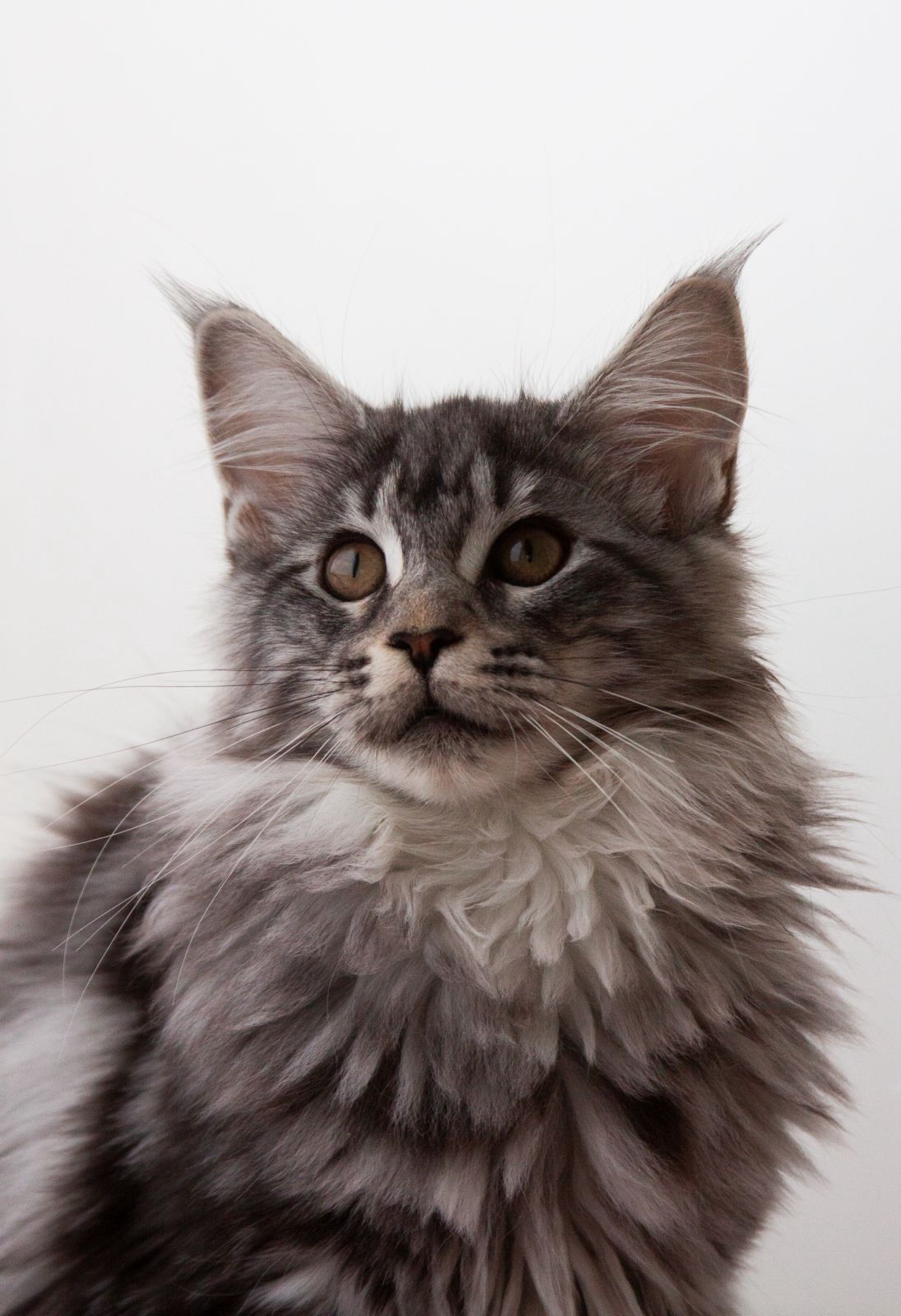 9c130804-7141-4c31-a4bf-3dfc14f77861