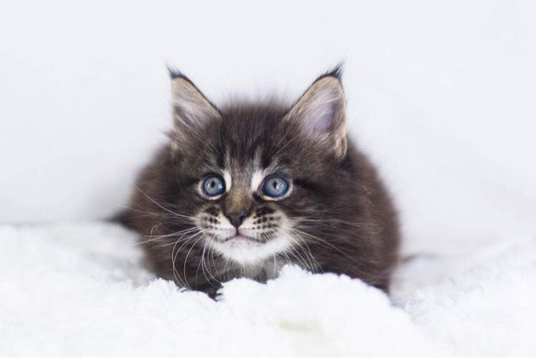 a053682f-2973-401d-89a2-7de0f73eac17