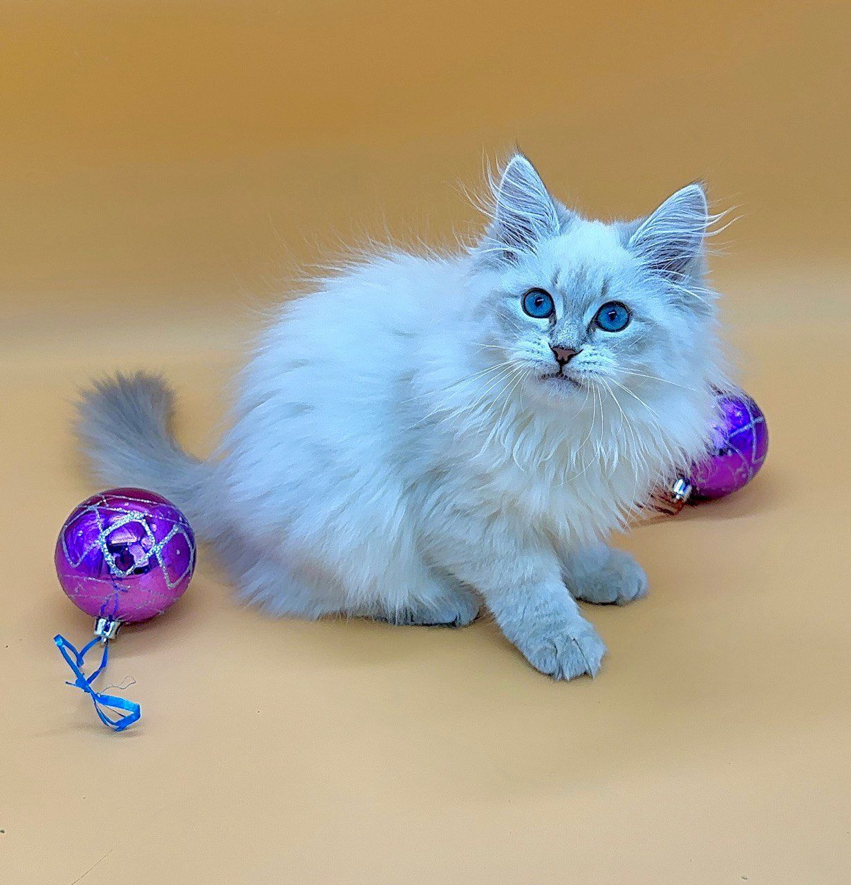 a44682b6-3313-43c0-afa0-e1c62c8eae0d