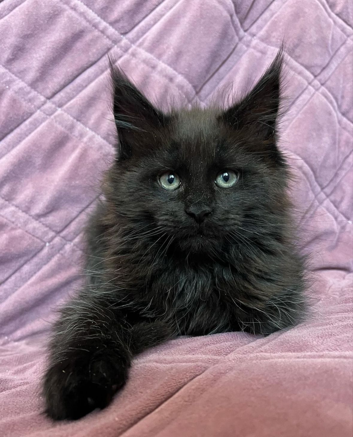 a637de1e-b9bc-4af7-8f86-8af448e5d5ad