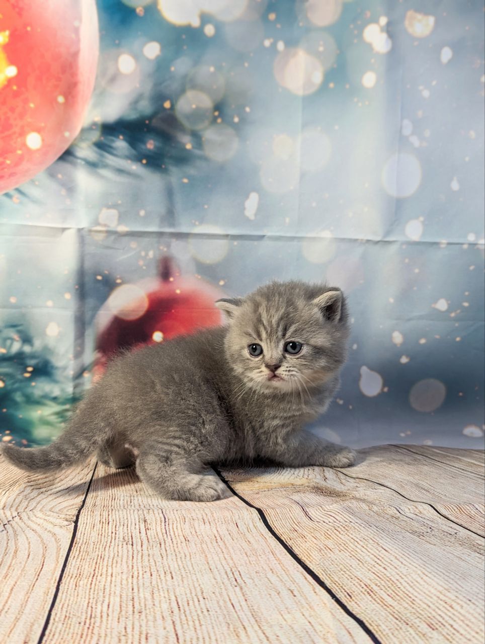 a638c197-3a76-45db-ae5b-8b3ff16de646