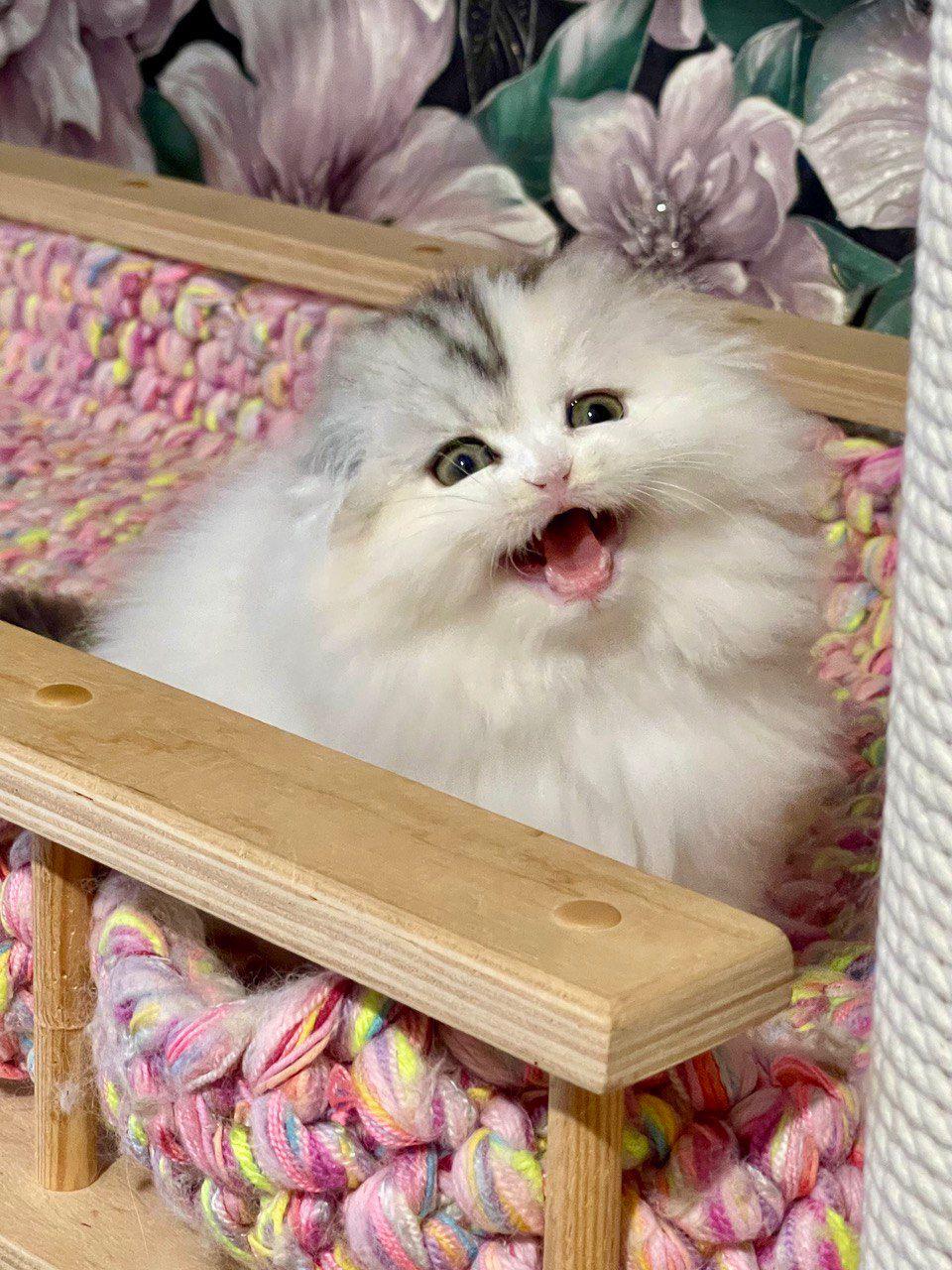 ae400473-12d3-438d-b1e5-2cb3f69e5594