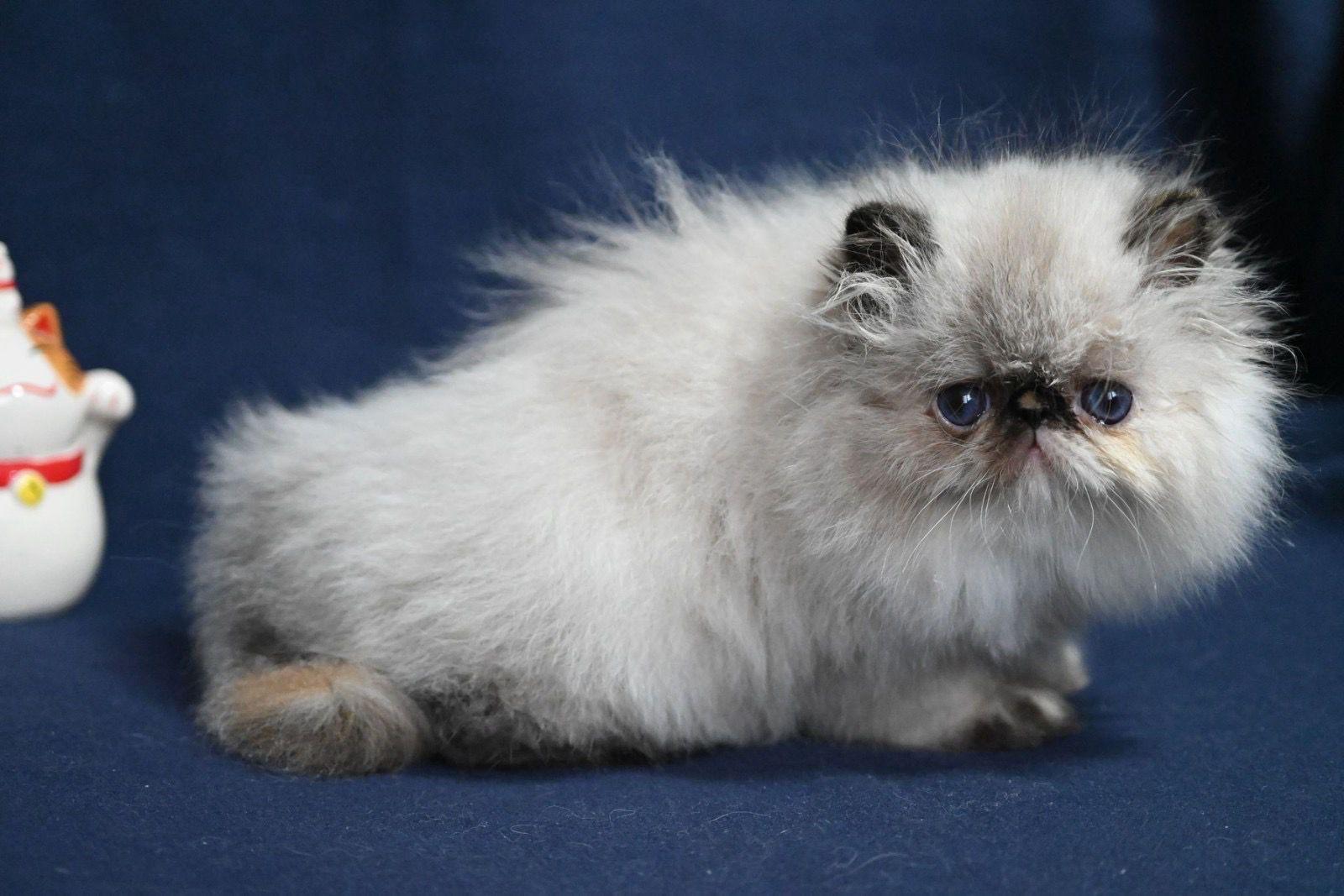 b3b20160-bea8-497c-9ff0-da73b90c3825