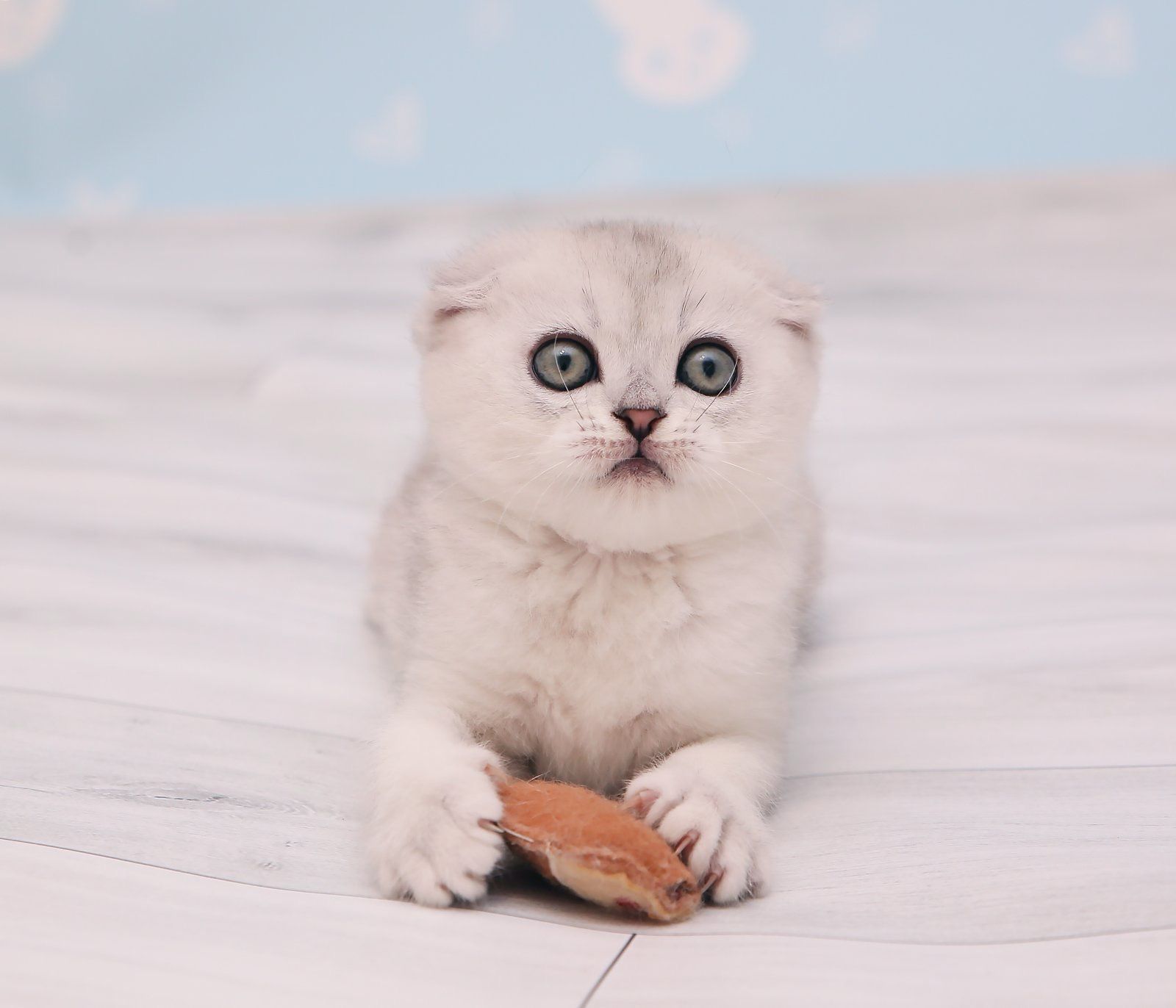 b415833e-0ac8-4ef5-b4b6-acf1f52d28fe