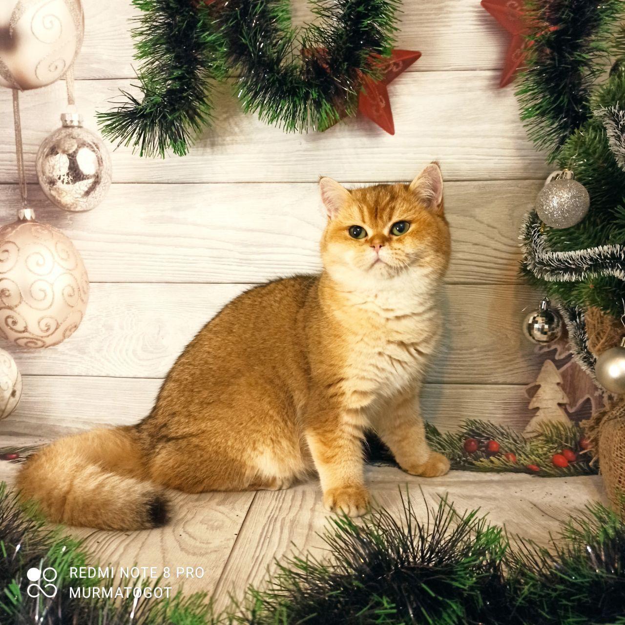 b4633c82-ef0c-4386-a2b3-2e85e7a8ce3d