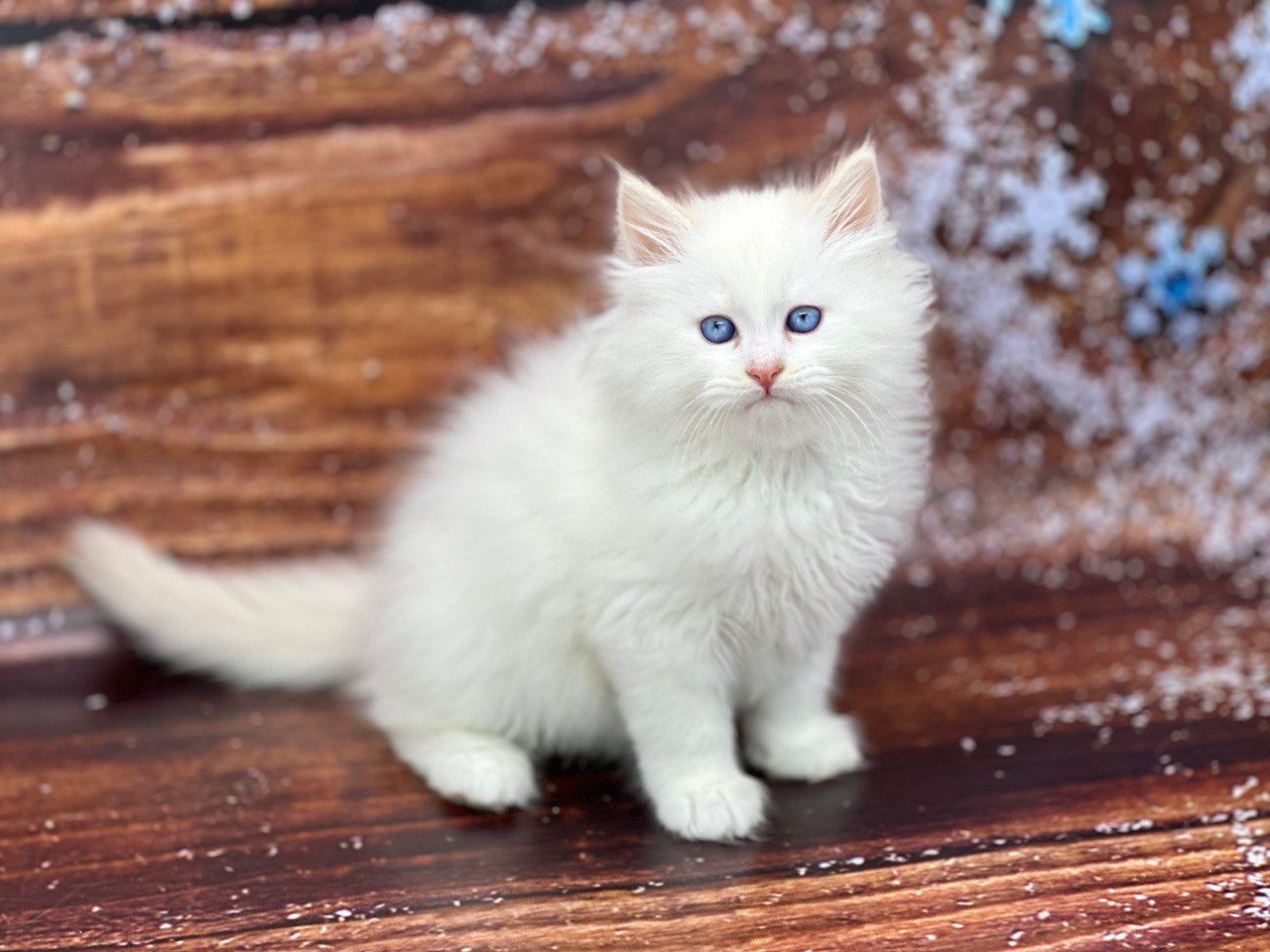 bb38c1ee-8cfe-41a4-a352-37887e6adc52