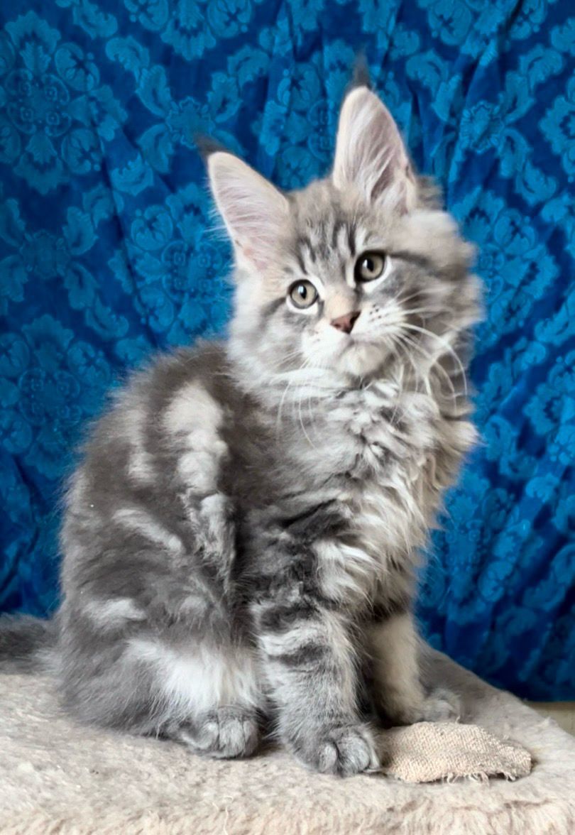 bcf391ff-48cb-4523-a77d-6867c718a856