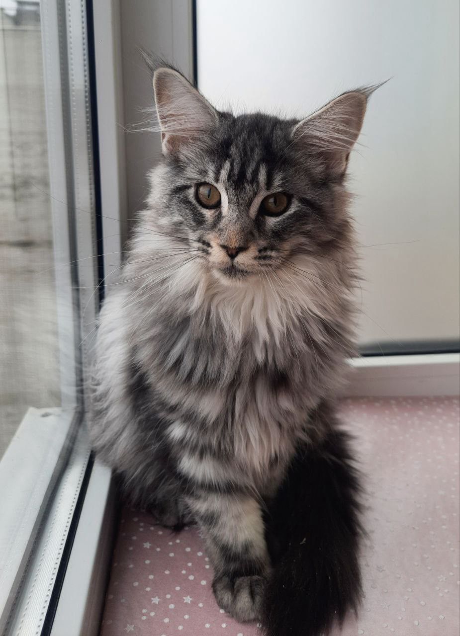 be3017c8-6e9f-4b6b-a938-0275b358b613