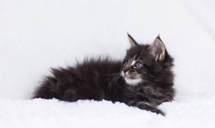 bf7bb184-8a7d-4c68-a70e-bd3dd059fdc7