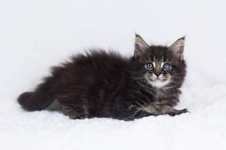 c14515e9-b9de-4d45-b3b7-0b0ebe3c22c6