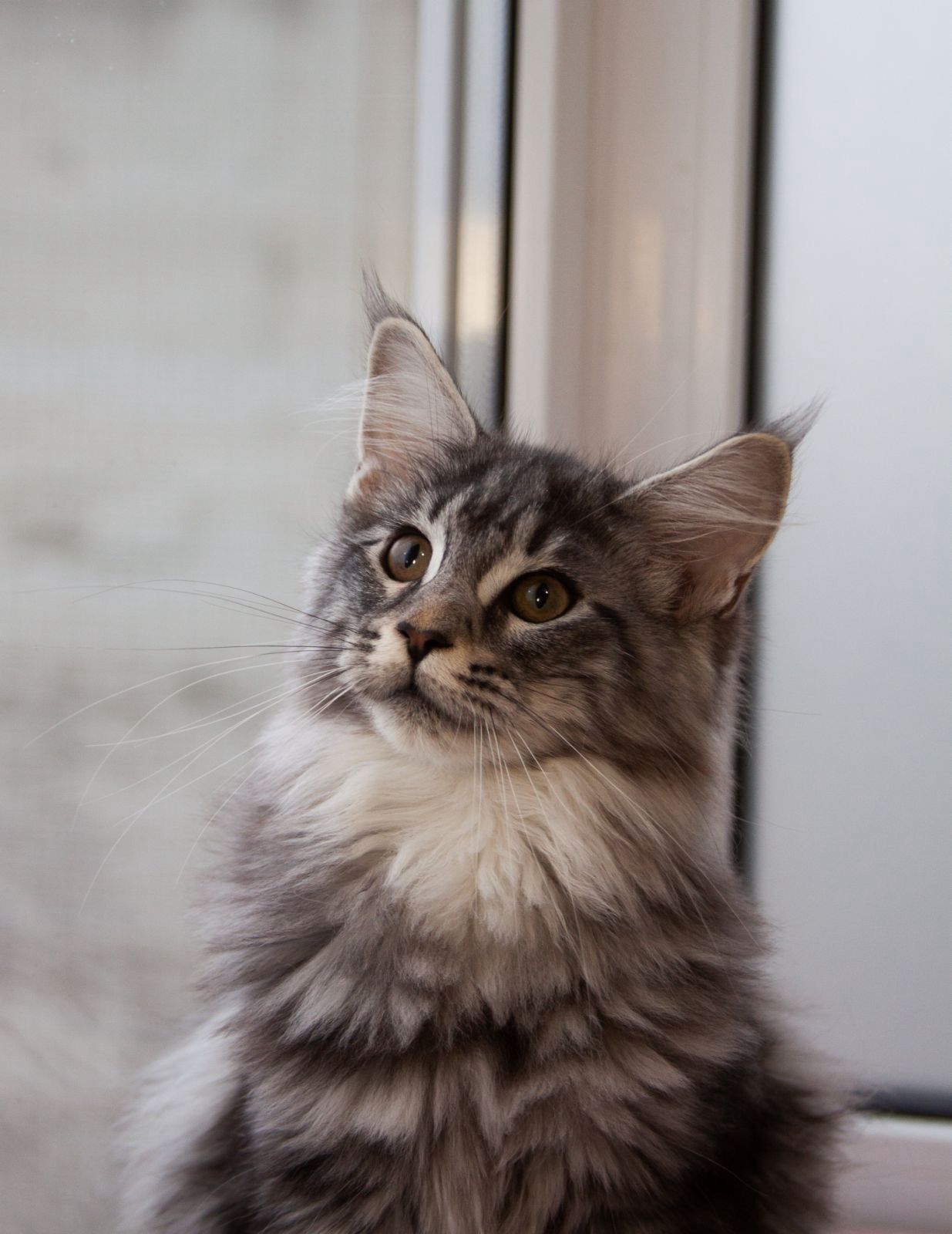 c4ca29d9-e182-4402-97f5-ba3c25cf5ce2