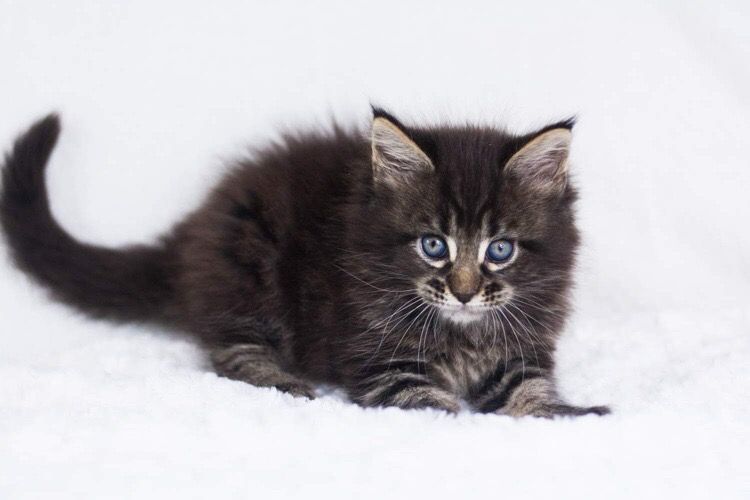 c4f9cc44-700e-447d-a088-2d3a28c8922c