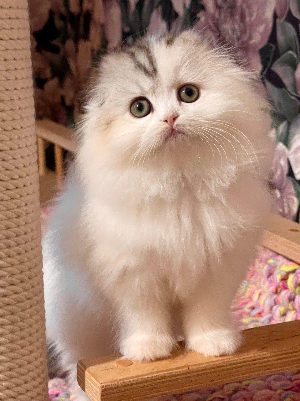 c583a918-d9db-44aa-8b61-5dcd0ad98262