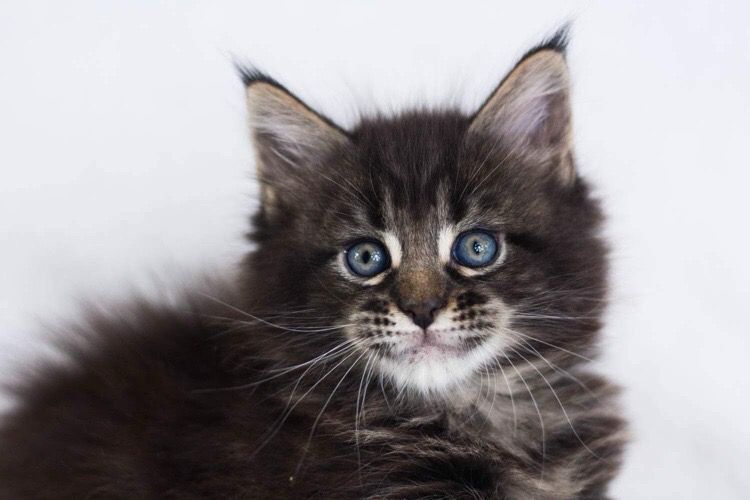 c7895e46-2677-4a4a-9c61-c7c3ec9232ea