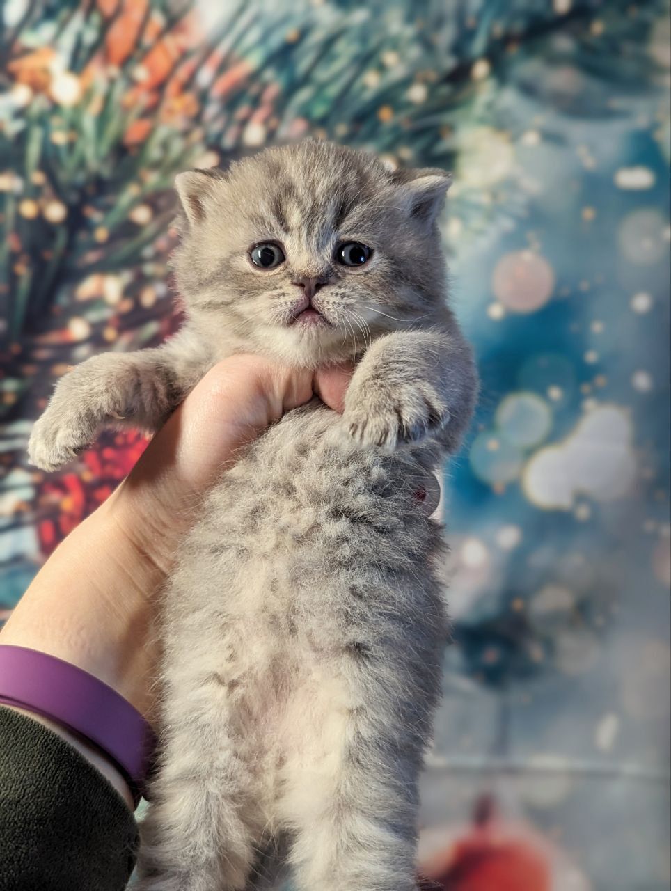 cb02f550-c5bd-4574-bdc0-6056cdfd8e0c