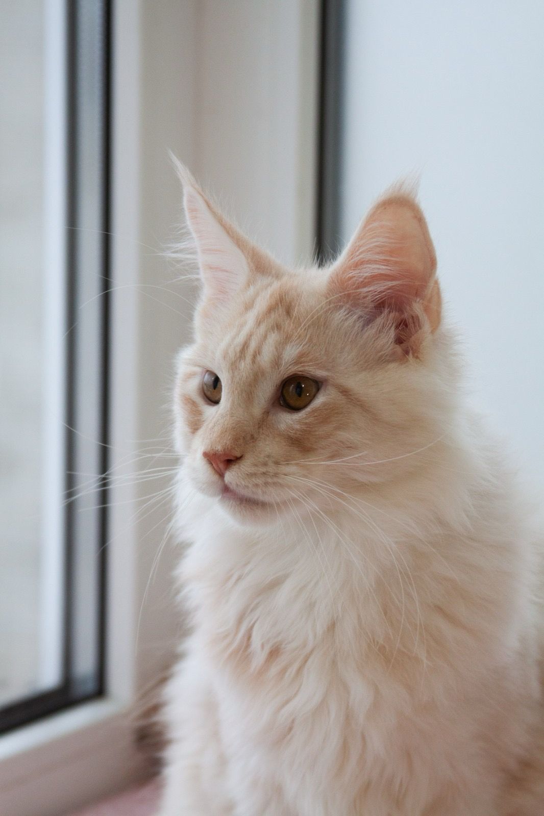 d1ce6fe6-b759-4283-8545-fd84fb65a214