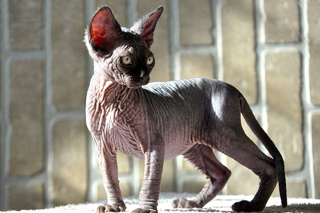 d86b4888-ee0a-402d-aa10-73dfb332ce7c