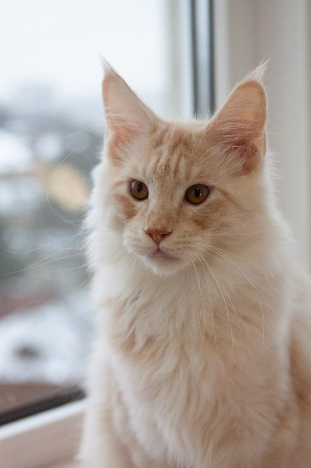 da234886-3c08-4802-9c0a-1f26725f01b1