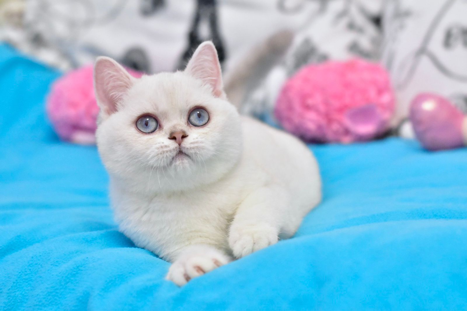 db57c7ed-0f8f-4341-a3bc-85f5095f598f