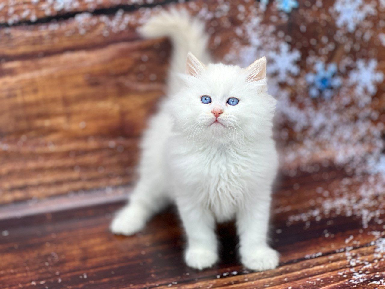 e2157fa4-596f-433e-92fd-1769d76de471