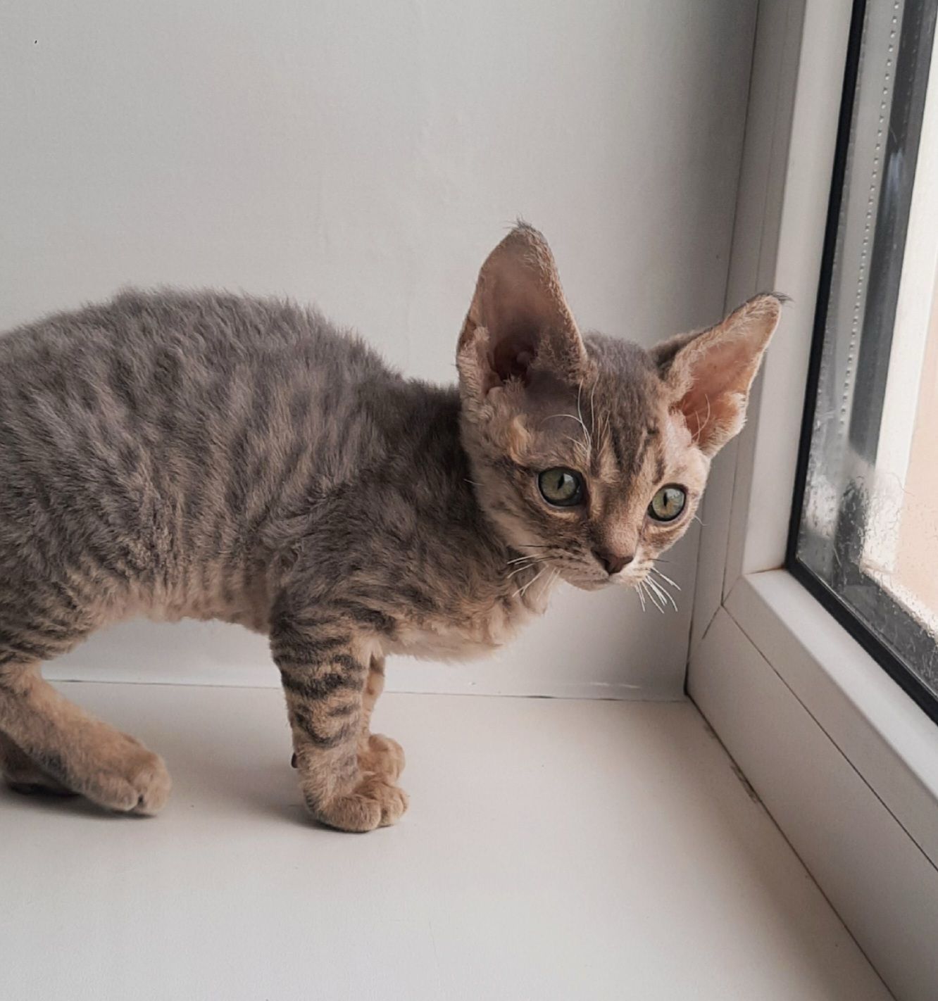 e45d11fb-9e0a-4893-8ce4-4ccee9d38ccd