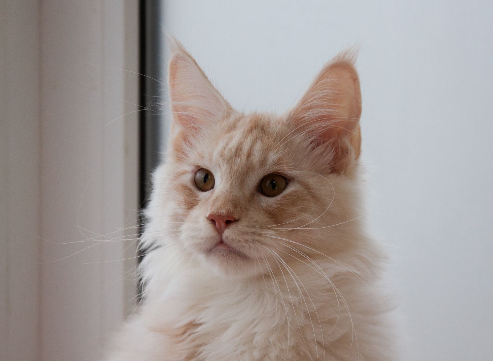 e5bcf8b3-8373-414f-a94d-66669d8af707