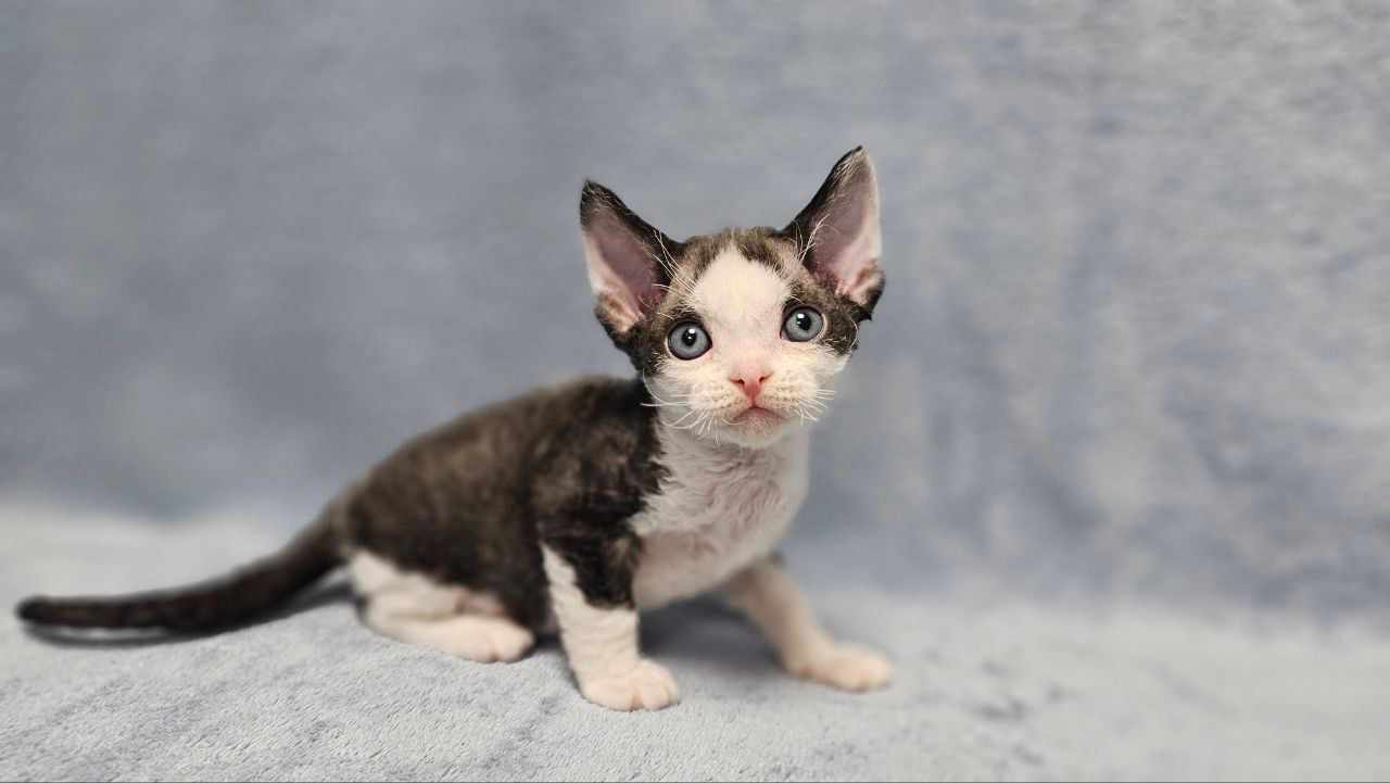 e7079aa3-8fd6-4cec-863a-5f7ae62105c1