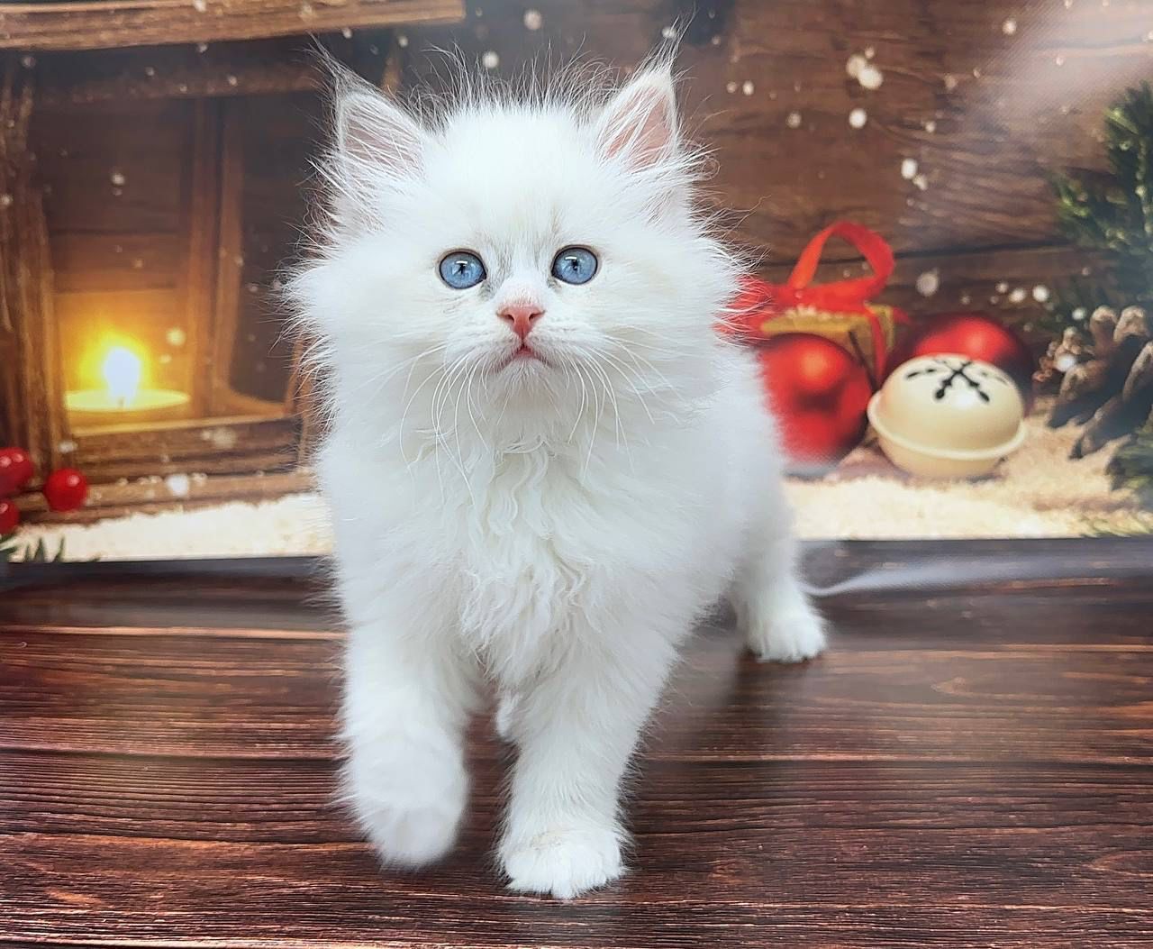 ec563472-0316-4d02-96dc-cb28405d8171