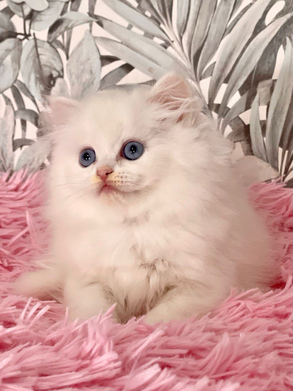 eca9524e-fe2d-4d4b-bf39-be299a946965