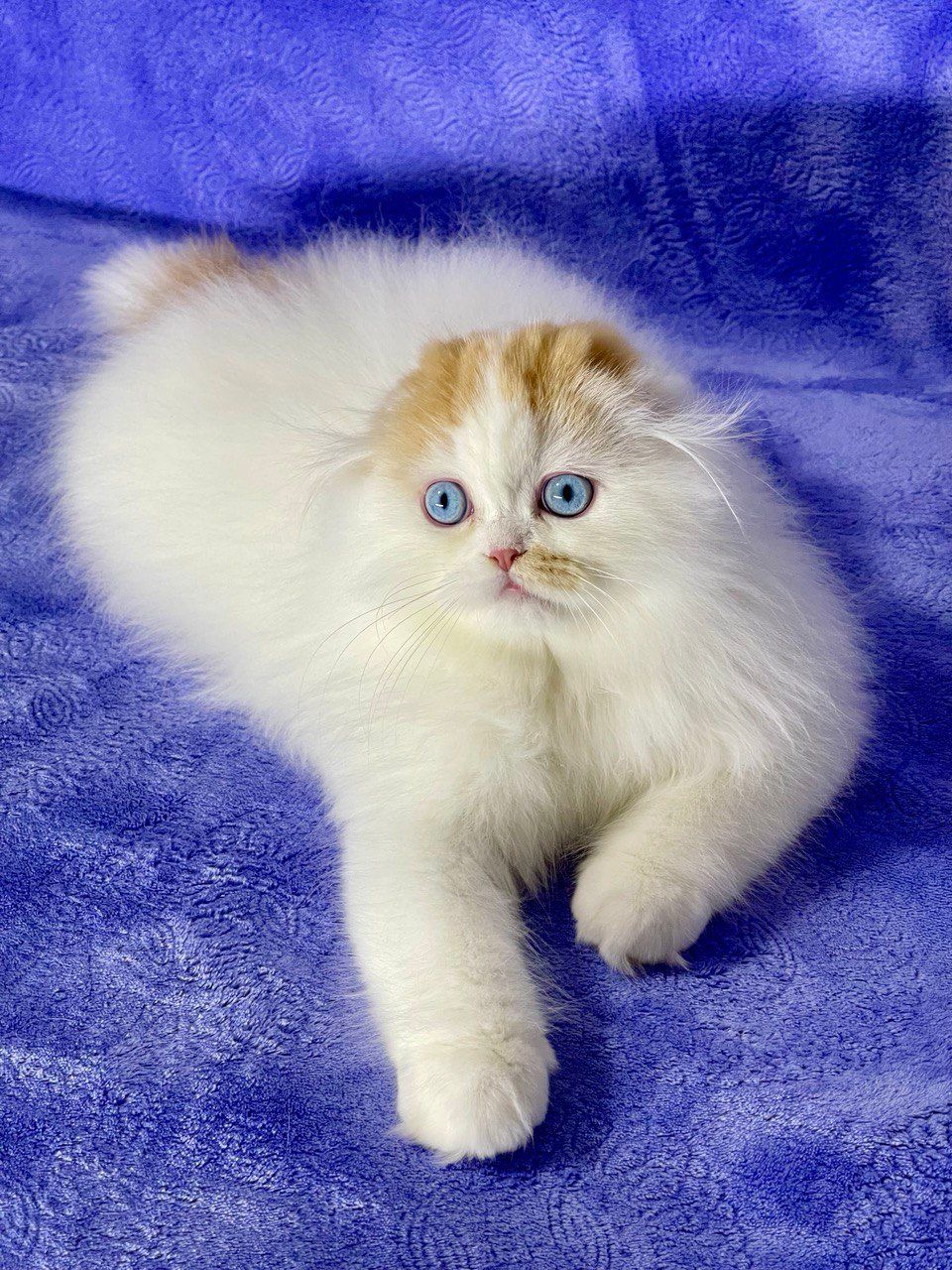 ef3068df-603a-4467-a51b-e7e577486894