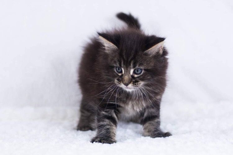 f01aad82-4115-41e5-9e49-151e9da90eee