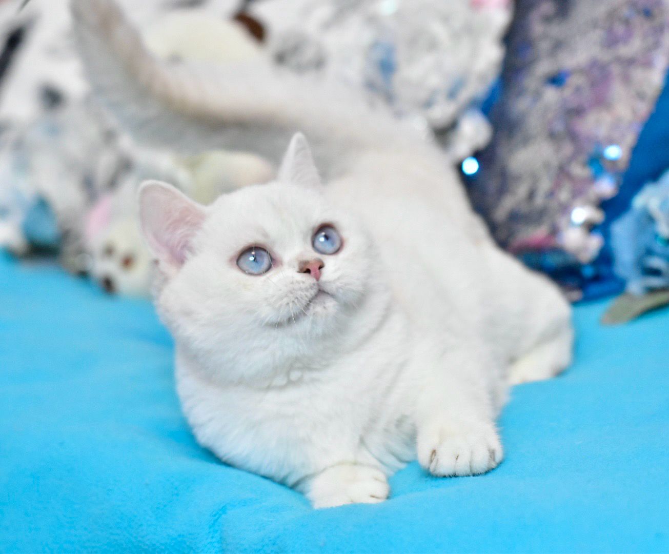 f6731176-8a7d-44be-b00c-ef12ca01cd6b