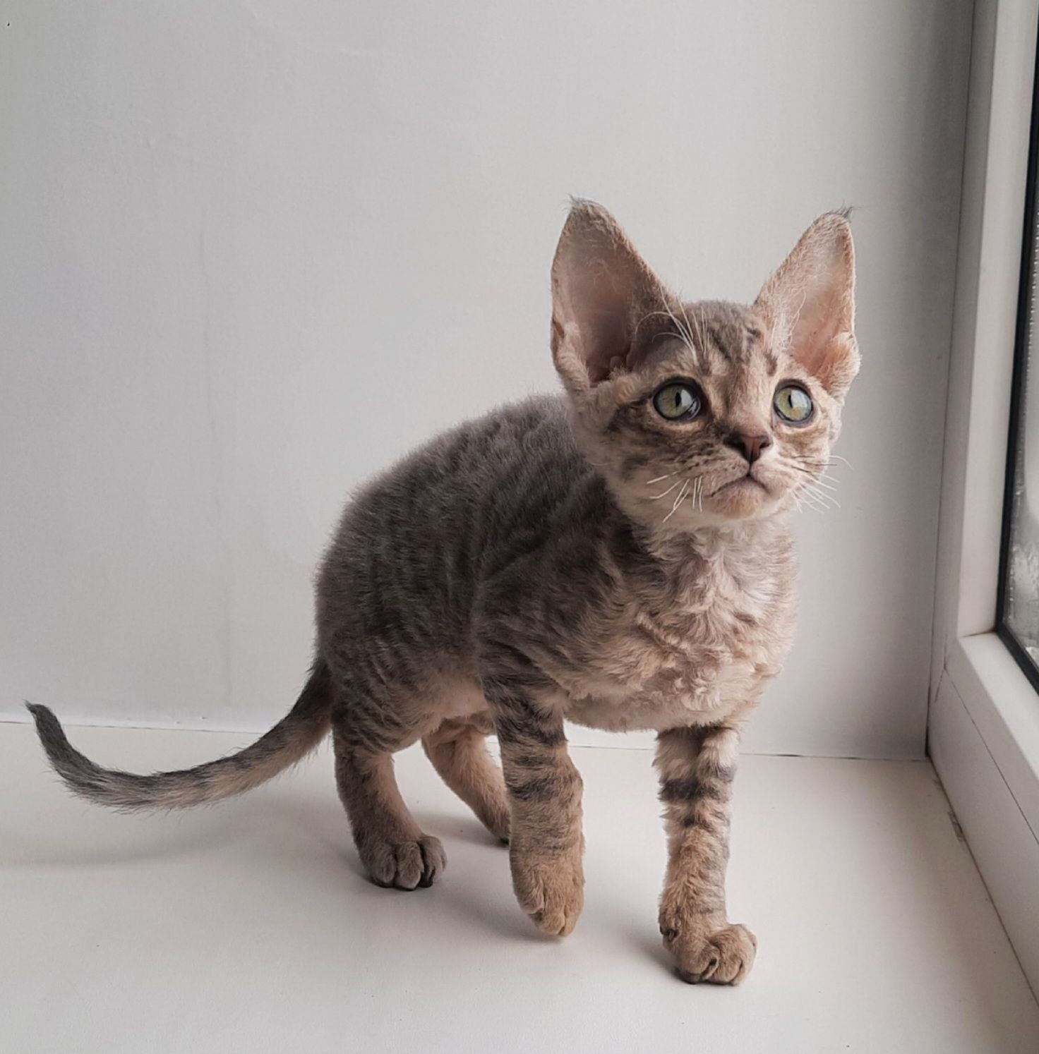 fac08abb-761f-4679-819b-e2c25482779d