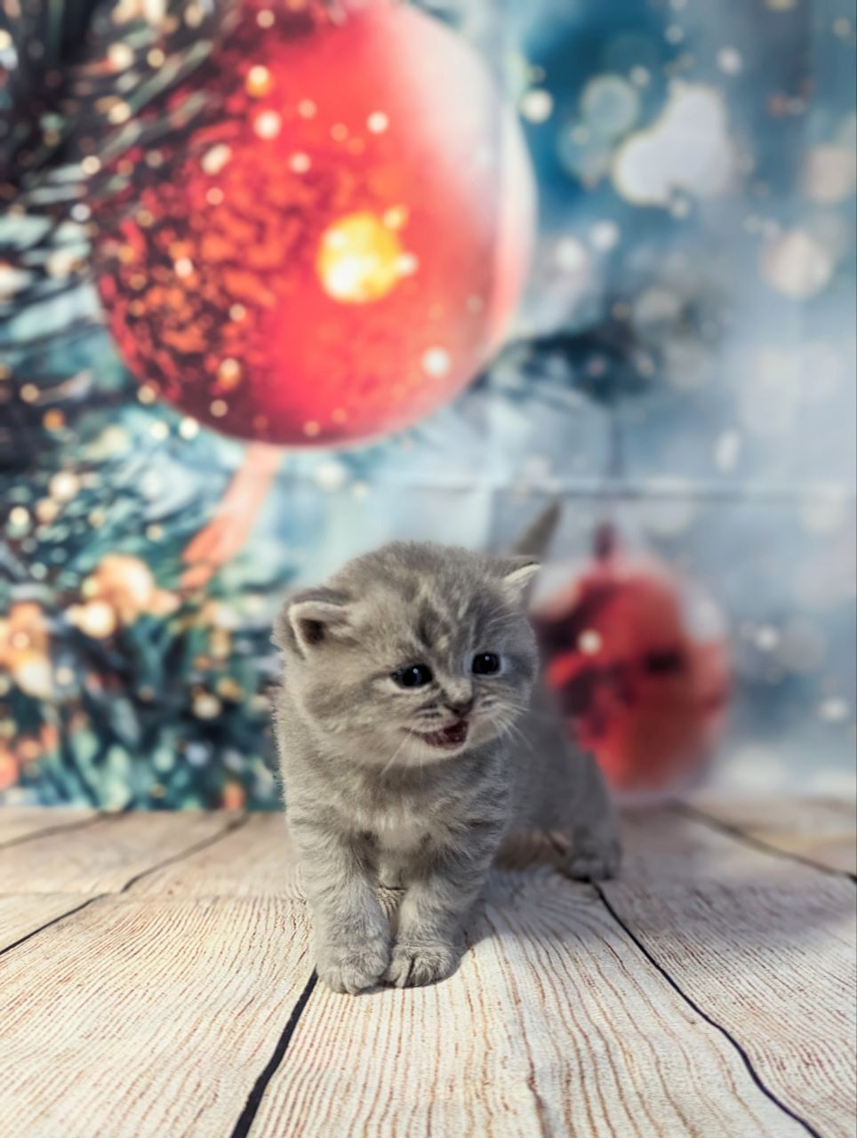 fed0face-cd03-422d-afda-e5b66b4fff49